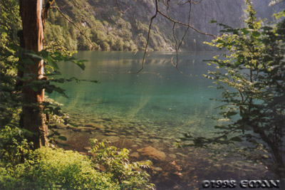 Green Waters of Obersee
