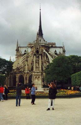 Notre Dame - Iris